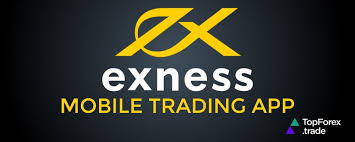 Maximize Your Trading with the Exness Forex Calculator Maximize Your Trading with the Exness Forex Calculator