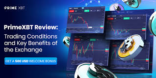 Discover PrimeXBT Exchange A Comprehensive Guide for Traders