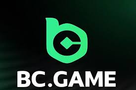 Explore the Thrills of Online Gambling with BC.Game Casino